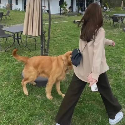 毕加索与我